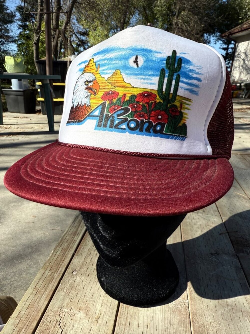 Vtg Arizona Trucker Cap Snapback Hat Eagle Desert Travel Tourist